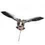 Product image image thumbnail 4