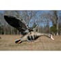 Higdon Clone Specklebelly Goose Decoy