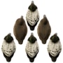 Product image image thumbnail 3