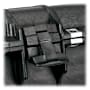Pelican Protector Double Pistol Case-Black