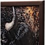 Open Road Brands Buffalo Framed Canvas Wall Art
