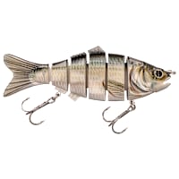 テイムパターソンシエープフィッシュ Bass Pro Shops XPS RealImage HDS Forked-Tail Swimbait | Bass