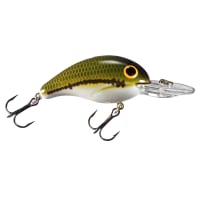 baitcaster reel problems How to Maintain Drag Systems on Your Baitcasting Reel  Ardent Tackle
