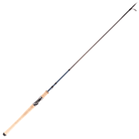 Bass Pro Shops Fish Eagle Salmon/Steelhead Spinning Rod