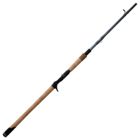 fenwick　FC64 Nice Looking FENWICK BLANK 2 Piece 64 inch Spinning Rod | eBay