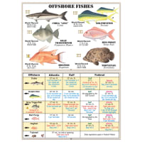 Florida Saltwater Fish ID Book by Saltwater Fish ID, Inc.