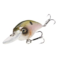 bass pro shop tiny crankbait lures Bass Pro Shops Micro Medium Crankbait