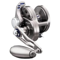 Daiwa Saltiga LD Conventional Reel | Bass Pro Shops