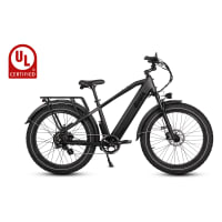 Bass pro electric bike store