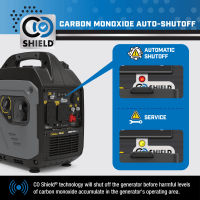 Cabela's Outdoorsman 4000W Gas Inverter