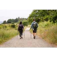 Cascade Mountain Tech Carbon Fiber Quick Lock Trekking Poles with Cork Grip