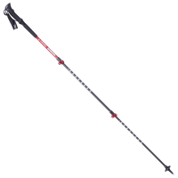 Ascend escalante trekking pole shop
