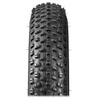 Mongoose tires 2025