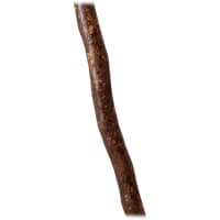 Bass pro walking stick outlet