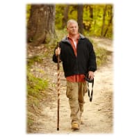 Bass pro shop walking sticks top