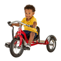 Schwinn Roadster Tricycle for Kids Cabela s