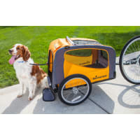 Schwinn rascal outlet