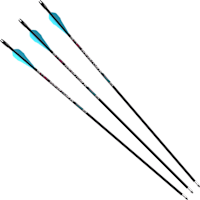 ロッド RS ロッド arrows ロッド arrows ロッド arrows ZX太刀魚 | 株式会社