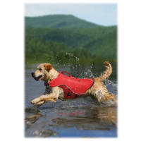 Kurgo dog sale life vest