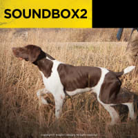 Dogtra SOUNDBOX2 Remote Dog Trainer
