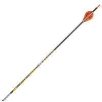 Victory Archery VAP Elite Arrows