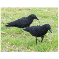 Cabela s Flocked Crow Decoy Bass Pro Shops