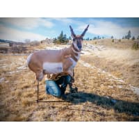 Montana Decoy Fred Eichler Antelope Decoy Cabela's