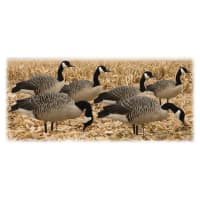 Avian-X AXP Full-Body Canada Goose Decoy Honker Pack | Cabela's