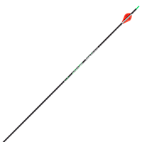 ARROW非売品 Victory Archery Rip XV Gamer Small Diameter Arrow | Bass Pro Shops