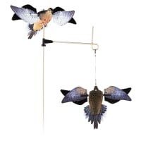  バード　 Dove バード Dove ZX Gun