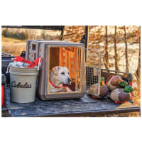 Cabela s GunDog Intermediate Dog Kennel Cabela s
