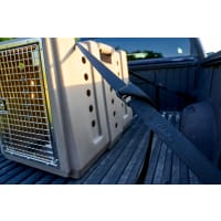 Cabela's dog crate shop