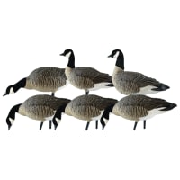 Avian-X AXP Full-Body Lesser Goose Decoys Combo 6 Pack | Cabela's