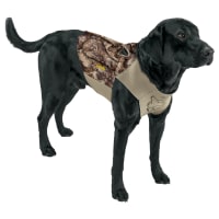 Cabela's dog clearance life vest