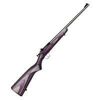 Keystone Sporting Arms Crickett Single-Shot Rimfire Rifle with