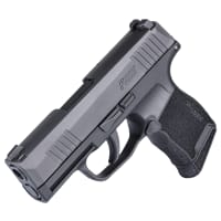 SIG SAUER P365 380 Nitron Micro-Compact Optics-Ready Semi-Auto Pistol with Siglite Sights