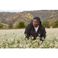 Carhartt Duck Quilt-Lined Active Jacket for Ladies