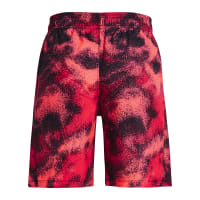 Under Armour Boys Woven Printed Shorts