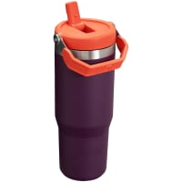 Stanley The IceFlow Flip Straw 30 Oz Tumbler