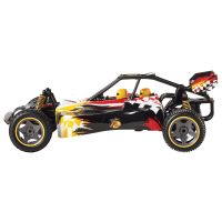 Bass pro shop best sale raptor rc truck