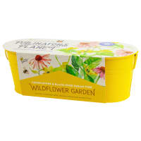 Buzzy Pollinator Wildflower Garden Windowsill Grow Kit | Mack's