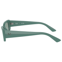 Ray-Ban Teru RB4425 Bio-Based Sunglasses Algae Green Petrol 54mm Ray-Ban Teru Bio-Based RB4425 Sunglasses - Polished Algae  main image 4