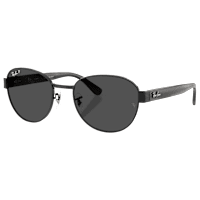 Ray-Ban RB3766CH Chromance Glass Polarized Sunglasses | Bass Pro Shops