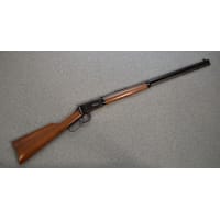 プラセンタ usedgun_101823438_main?pgw=1