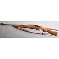 Winchester 100