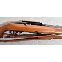 Winchester 100
