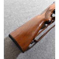Winchester 100