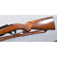 Winchester 100