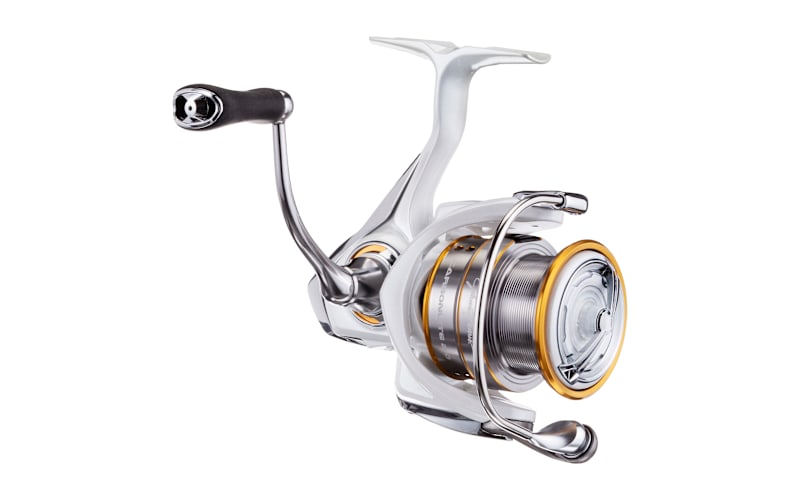 252712-249772_main?pgw=1