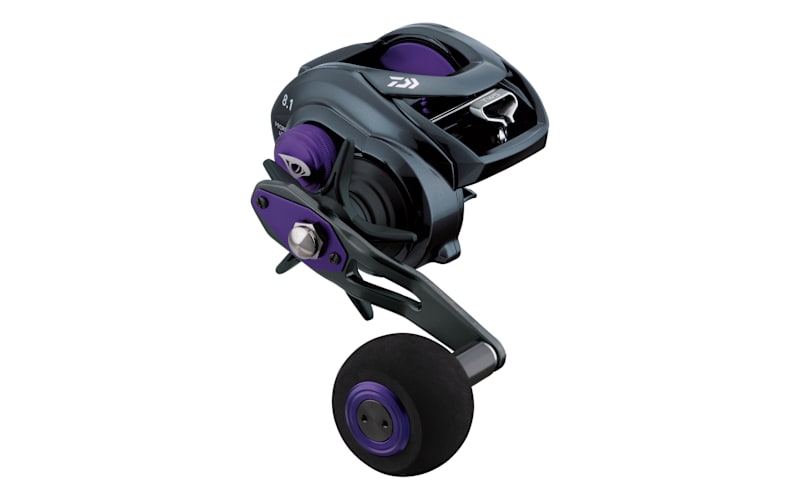 Daiwa® Prorex TW Baitcaster Reel | Bass Pro Shops Canada